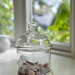 Hébergement de vacances Stoertebeker